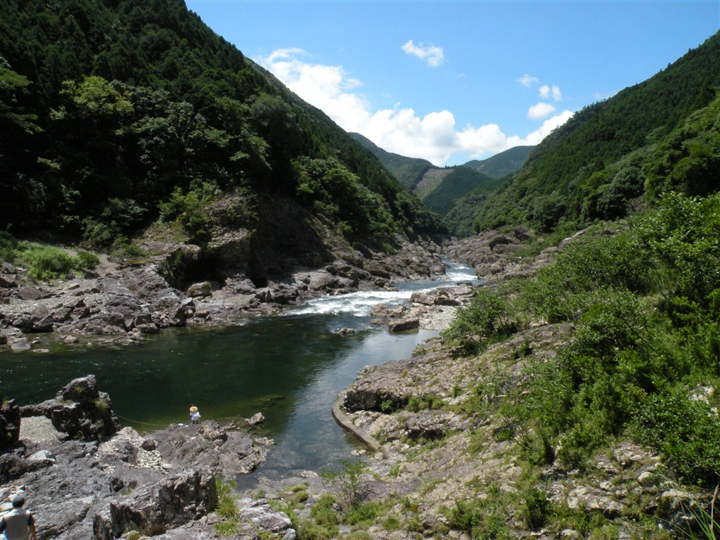 季節感のある写真‥【夏】を募集します！^^』 クチコミ掲示板 - 価格.com