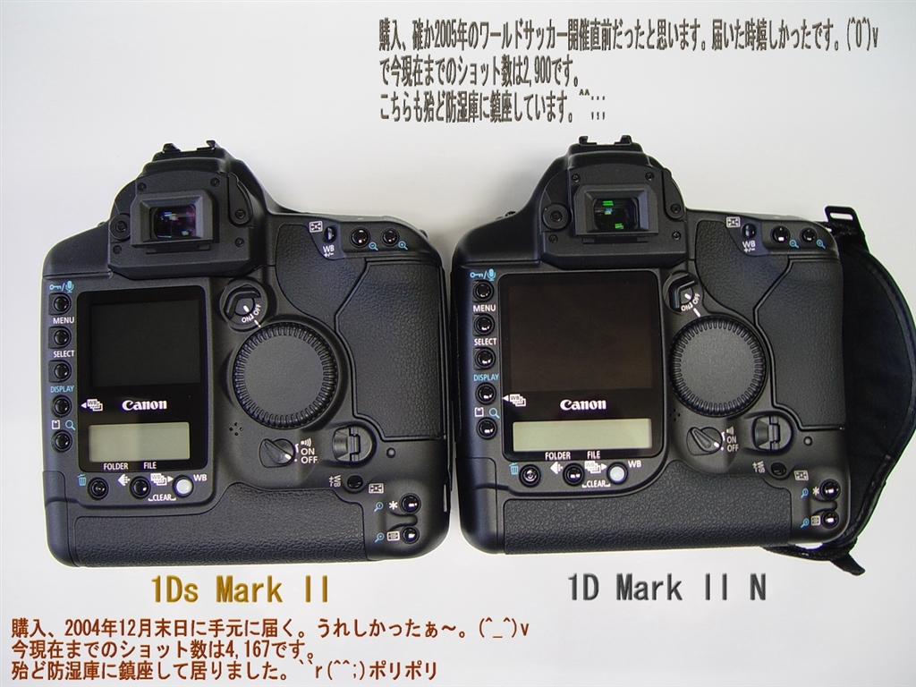 インターネット Canon EOS-1D Mark II N ボディ デジタル一眼 カメラ