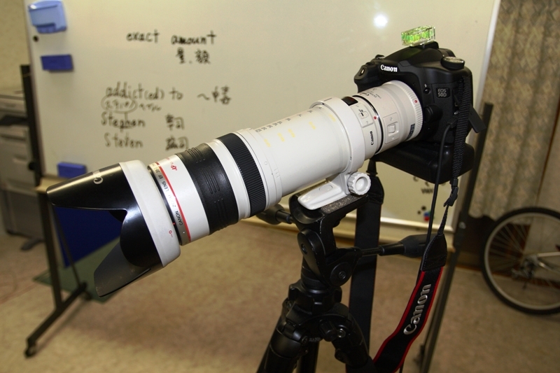 価格 Com Canon Ef35 350mm F3 5 5 6l Usm ロイヤルガードさん のクチコミ掲示板投稿画像 写真 納得できないので