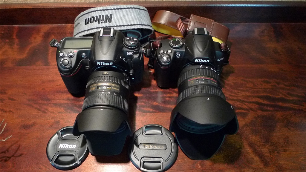 価格.com - TOKINA AT-X 124 PRO DX II 12-24mm F4 (ニコン用) 邪馬峠