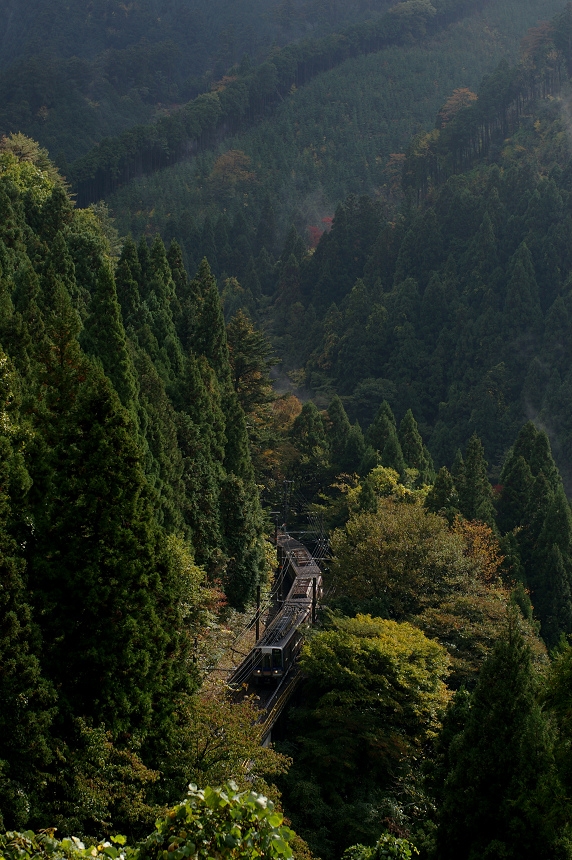 価格.com - 『南海高野線の山岳区間。背景が紅葉であれば良かったの 