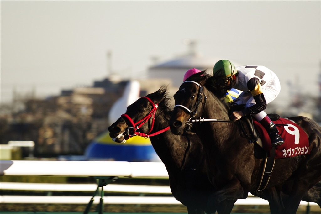 価格 Com 口から泡を吹く馬も Canon Eos 7d ボディ おっ おまわりさん のクチコミ掲示板投稿画像 写真 競馬場での撮影