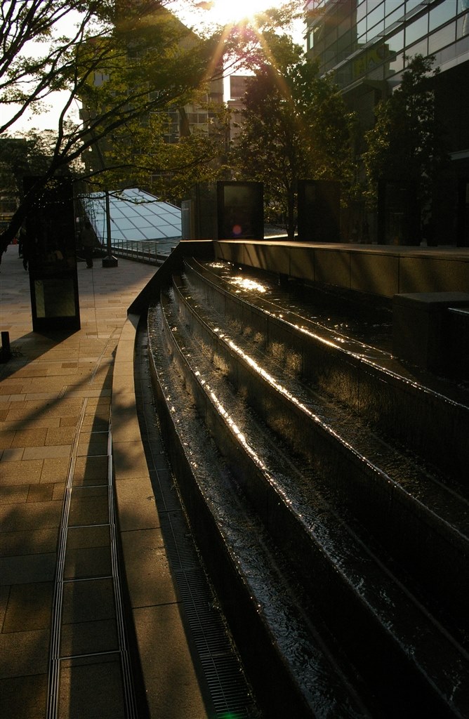 ﾎﾟｰﾄﾚｰﾄ撮影にて』 ペンタックス smc PENTAX-DA 21mmF3.2AL Limited の