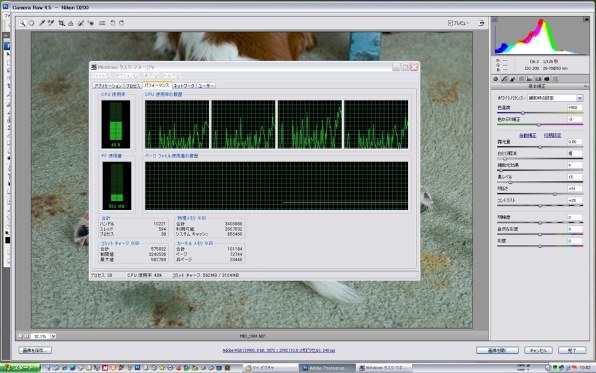 その他 Adobe Photoshop CS3 ADOBE Photoshop Elements＆ Premiere Elements 2026 3年版 30013382