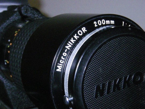 ニコン Ai Micro Nikkor 200mm F4S(IF)投稿画像・動画 - 価格.com