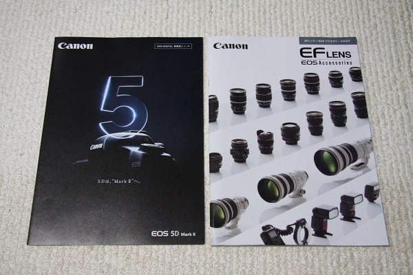 【美品】Canon EOS 5D Mark Ⅱ レンズキット+アクセサリー キヤノン Canon 5D Mark II 24-105mm F4L レンズセット 美品