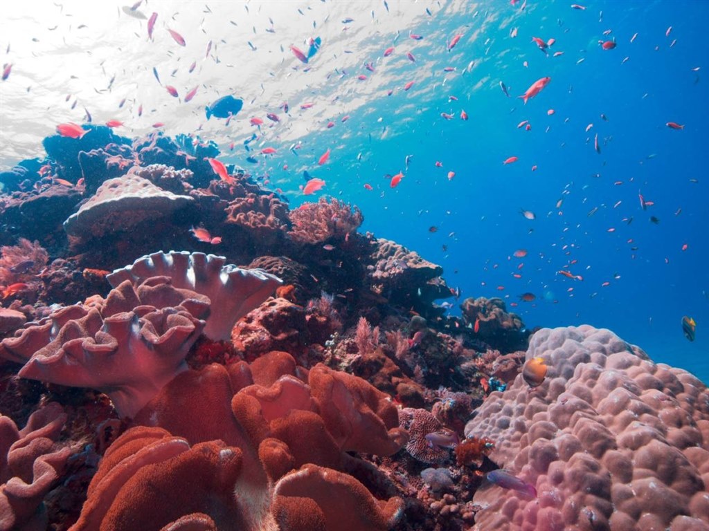 GX100（DX-1G）デビュー』 リコー Caplio GX100 VF KIT のクチコミ