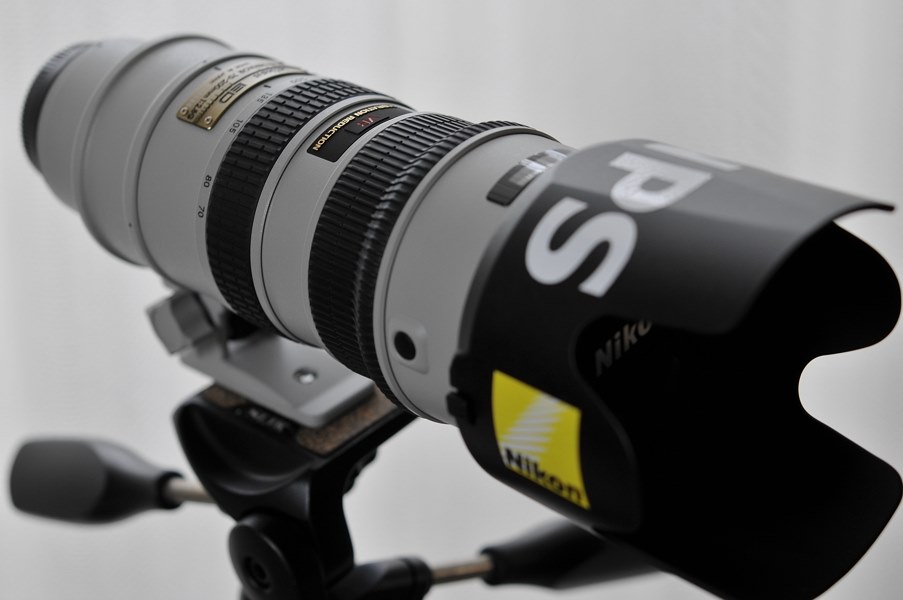 ブラックフードに。。。』 ニコン AF-S VR Zoom-Nikkor ED 70