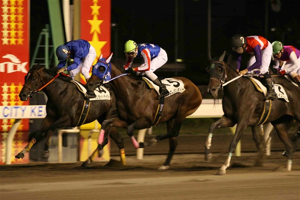 馬撮影について』 CANON EOS 40D ボディ のクチコミ掲示板 - 価格.com