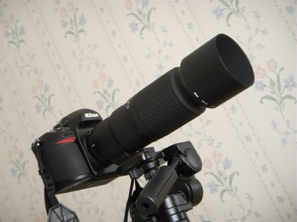 ニコン COOLPIX S50で撮影された写真 - 価格.com ニコン COOLPIX S50で撮影された写真 - 価格.com