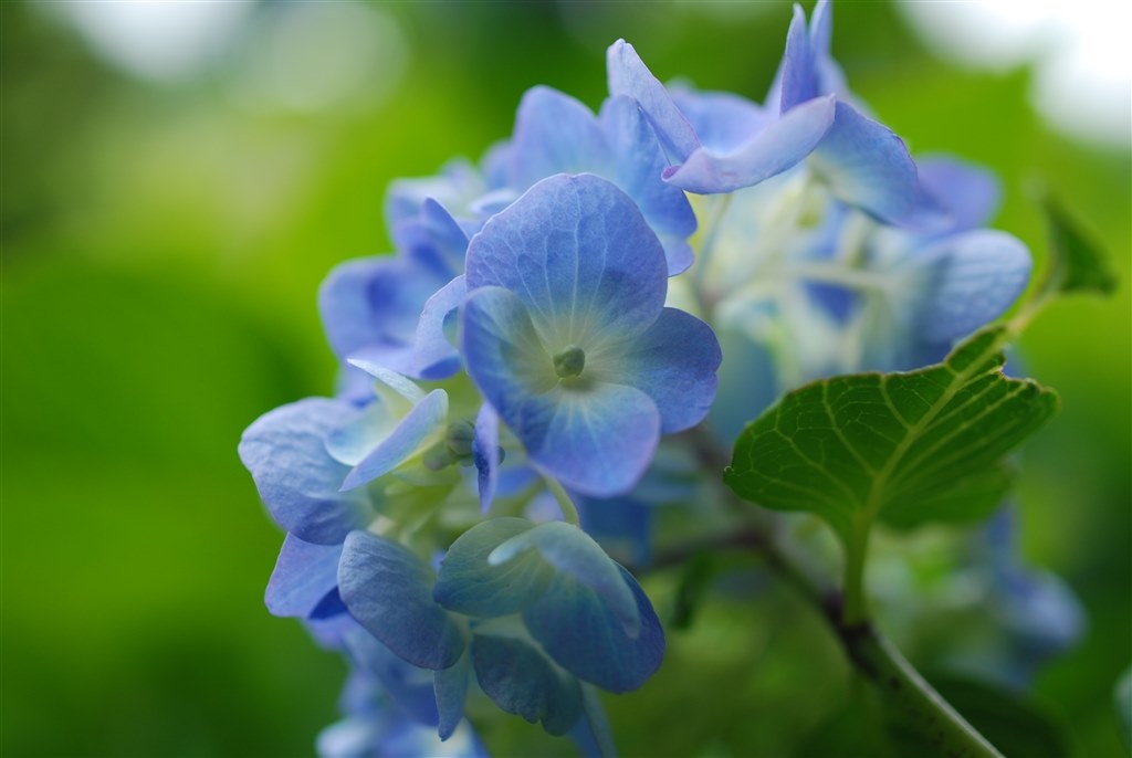 作例アップしまーす。』 TOKINA AT-X M35 PRO DX 35mm F2.8 (ニコン 作例アップしまーす。』 TOKINA AT-X M35 PRO DX 35mm F2.8 (ニコン