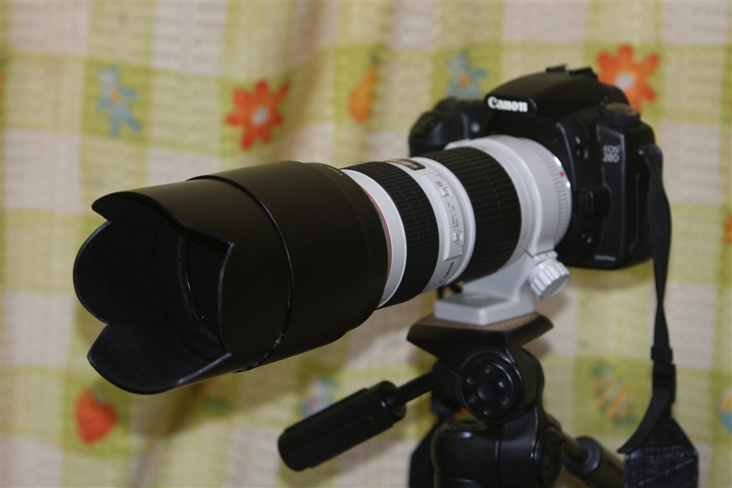 【並品】Canon EF 70-200mm F4 L USM フード付き Amazon.co.jp: キヤノン 2309C001 EF70-200mm F4L IS II USM