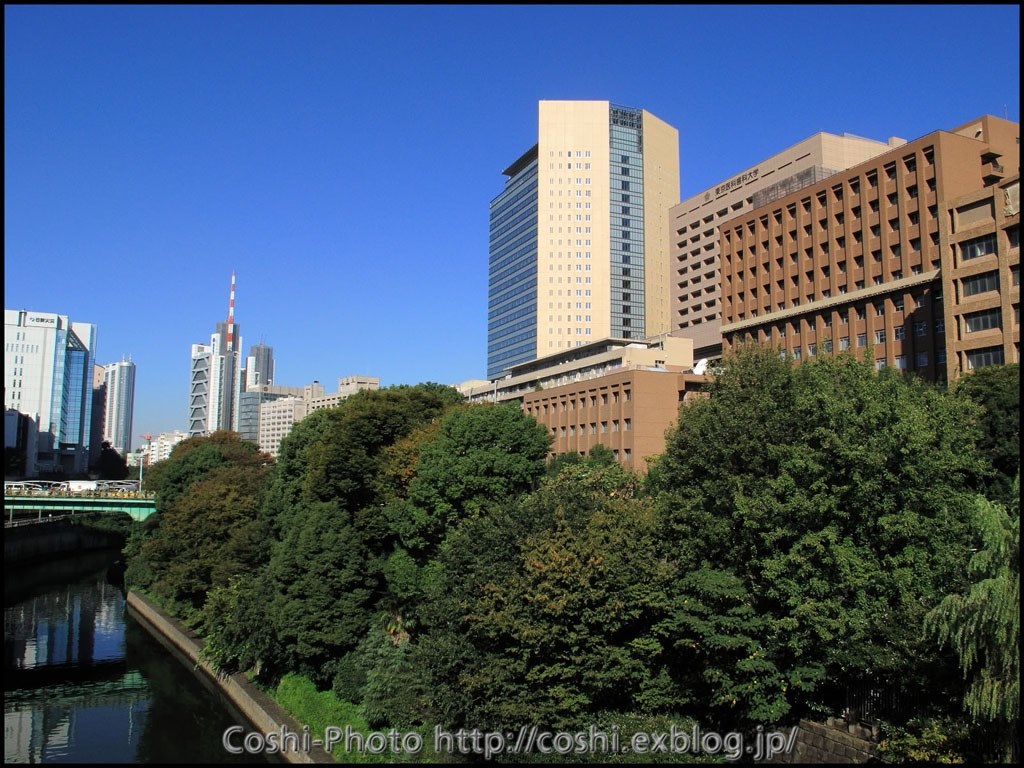 アドバイスお願いします』 CANON PowerShot G10 のクチコミ掲示板 ...