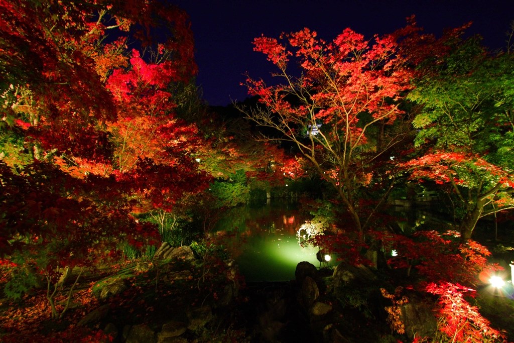 紅葉撮影』 CANON EOS 40D ボディ のクチコミ掲示板 - 価格.com