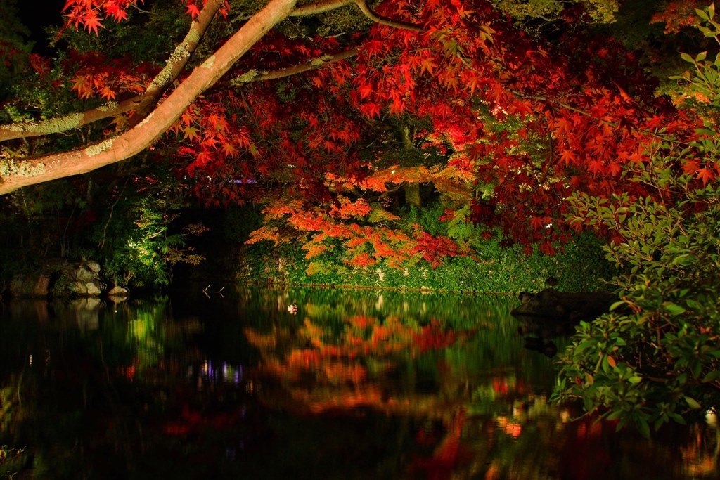 紅葉撮影』 CANON EOS 40D ボディ のクチコミ掲示板 - 価格.com