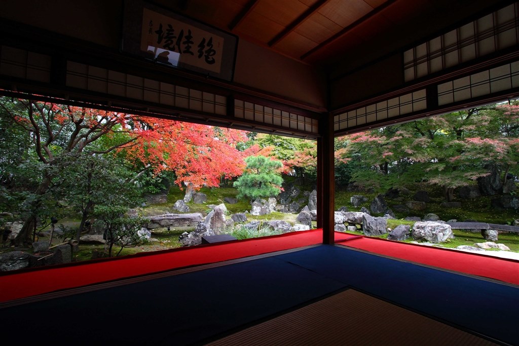 紅葉撮影』 CANON EOS 40D ボディ のクチコミ掲示板 - 価格.com