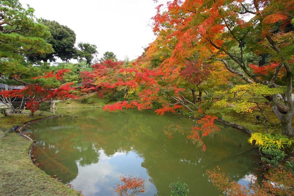 キャノン Canon EOS 40D【作例あり】 EOS 魂。（40D作例募集スレ）』 CANON EOS 40D ボディ の