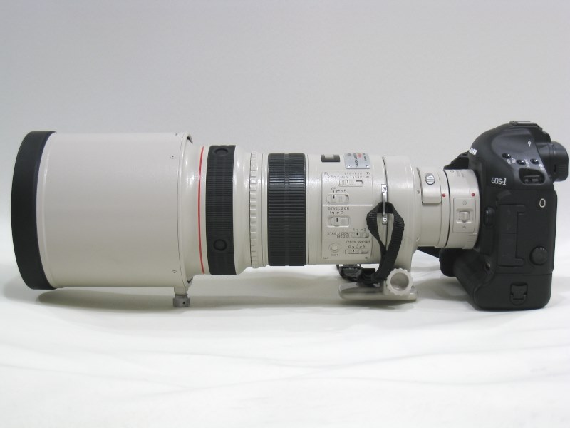 328×1.4と100-400のAF速度について』 CANON EF300mm F2.8L IS 328×1.4と100-400のAF速度について』 CANON EF300mm F2.8L IS
