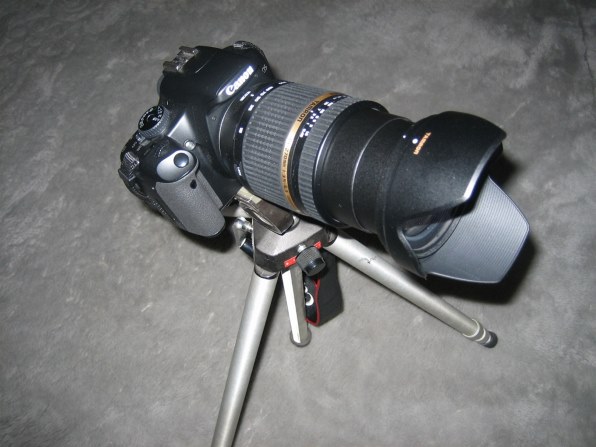 マッチ or アンマッチ？』 TAMRON AF18-270mm F/3.5-6.3 Di II