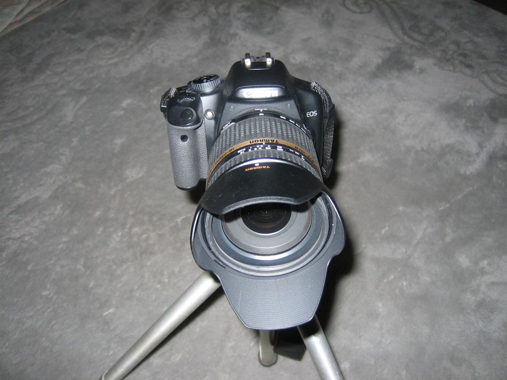 マッチ or アンマッチ？』 TAMRON AF18-270mm F/3.5-6.3 Di II VC LD