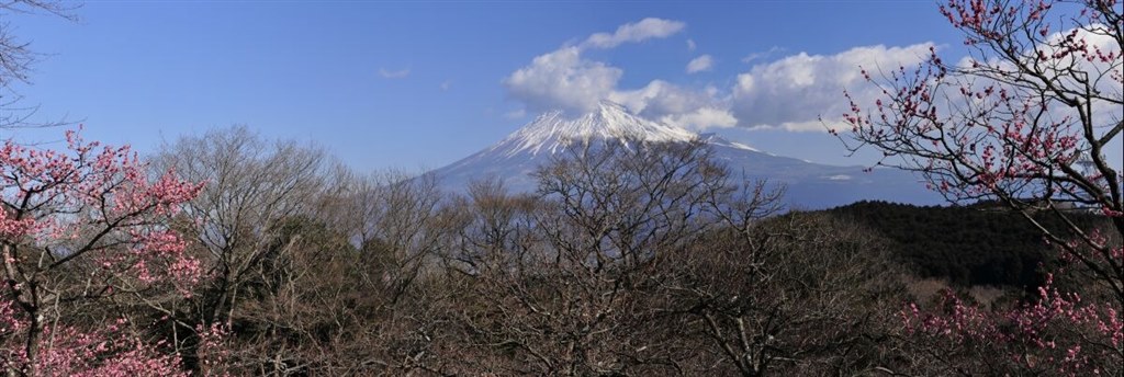 ロール紙パノラマ印刷が出来なくて困っています Epson Px 5500 のクチコミ掲示板 価格 Com ロール紙パノラマ印刷が出来なくて困っています Epson Px 5500 のクチコミ掲示板 価格 Com