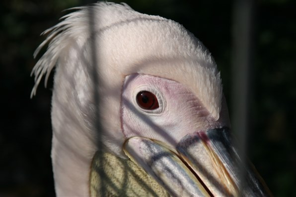 初めて撮影しました Canon Eos Kiss X2 ダブルズームキット のクチコミ掲示板 価格 Com