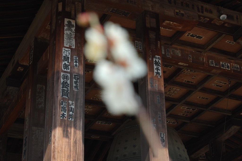 作例を見せてください』 ニコン D40 レンズキット のクチコミ