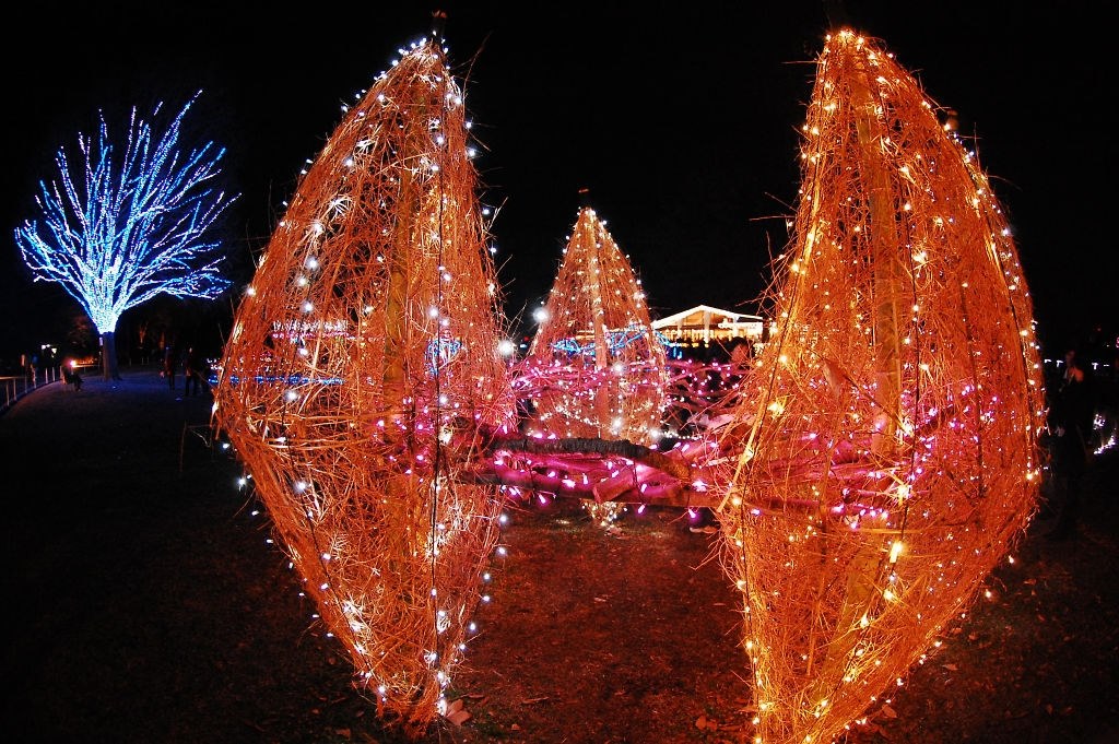 魚眼で夜景手持ち撮影』 ニコン AF DX Fisheye-Nikkor 10.5mm f/2.8G