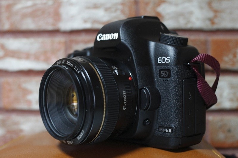 Canon EOS 5D マークⅡ EF50mm f1.4レンズ Amazon.co.jp: Canon 単焦点レンズ EF50mm F1.4 USM フルサイズ対応