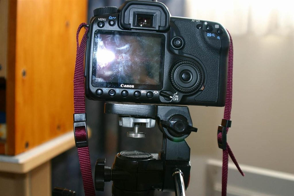 CANON EOS 40D ダブルレンズセット＋三脚