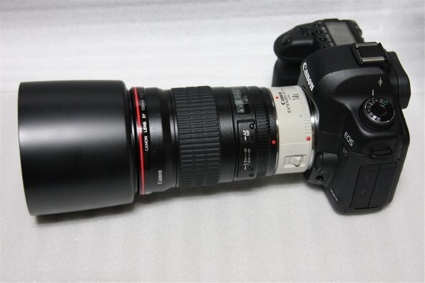 やっと撮影できました』 CANON EF300mm F4L IS USM のクチコミ掲示板