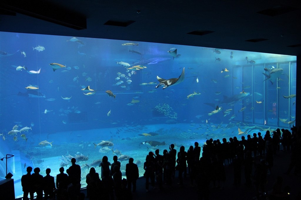 水族館 Canon Eos Kiss X2 ダブルズームキット のクチコミ掲示板 価格 Com