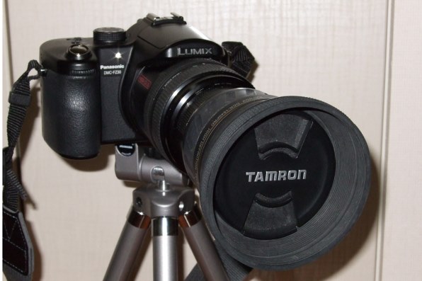 CANON EF90-300mm F4.5-5.6 USM投稿画像・動画 - 価格.com