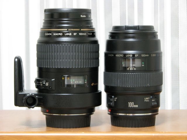 マクロレンズについて』 CANON EOS 5D Mark II ボディ の