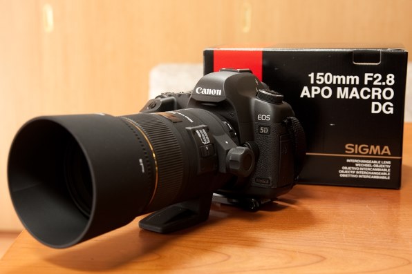 キャノン EOS 5D Mark II マクロレンズ セット Canon EOS 5D Mark II 望遠レンズ + マクロレンズセット