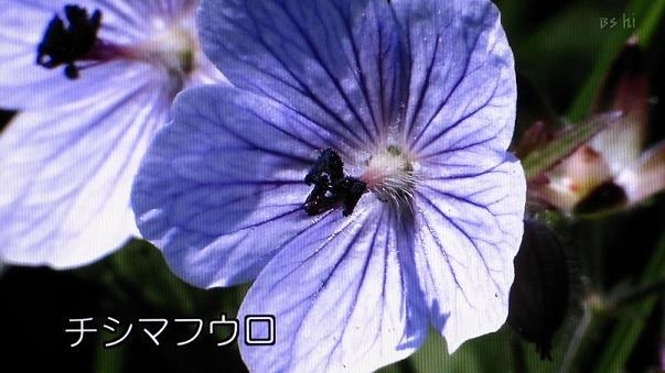 パイオニアKURO　PDP-428HX 2007年、PIONEER新型プラズマTV
