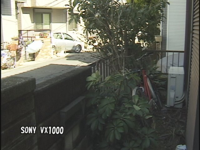 今更ですが）DCR-VX1000初撮影』 クチコミ掲示板 - 価格.com