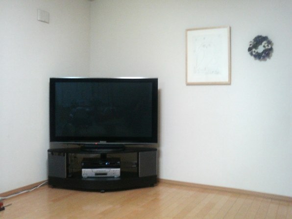 室内に設置しました。』 パナソニック VIERA TH-P50V1 [50インチ