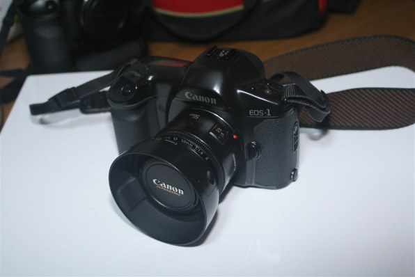 CANON NEW EOS Kiss ボディ投稿画像・動画 - 価格.com