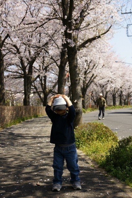 桜と空と人物をきれいに撮る方法を教えてください Sony 00 Dslr 00 ボディ のクチコミ掲示板 価格 Com