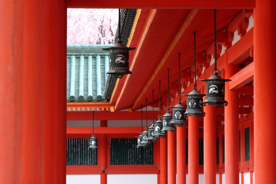 1000万画素と1500万画素』 CANON EOS 50D ボディ のクチコミ