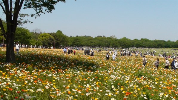 インプレ38:静止画を楽しむ』 SONY HDR-CX12 のクチコミ掲示板 インプレ38:静止画を楽しむ』 SONY HDR-CX12 のクチコミ掲示板