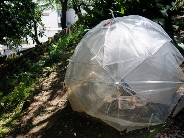 F200EXRの自由作例・比較写真』 富士フイルム FinePix F200EXR の