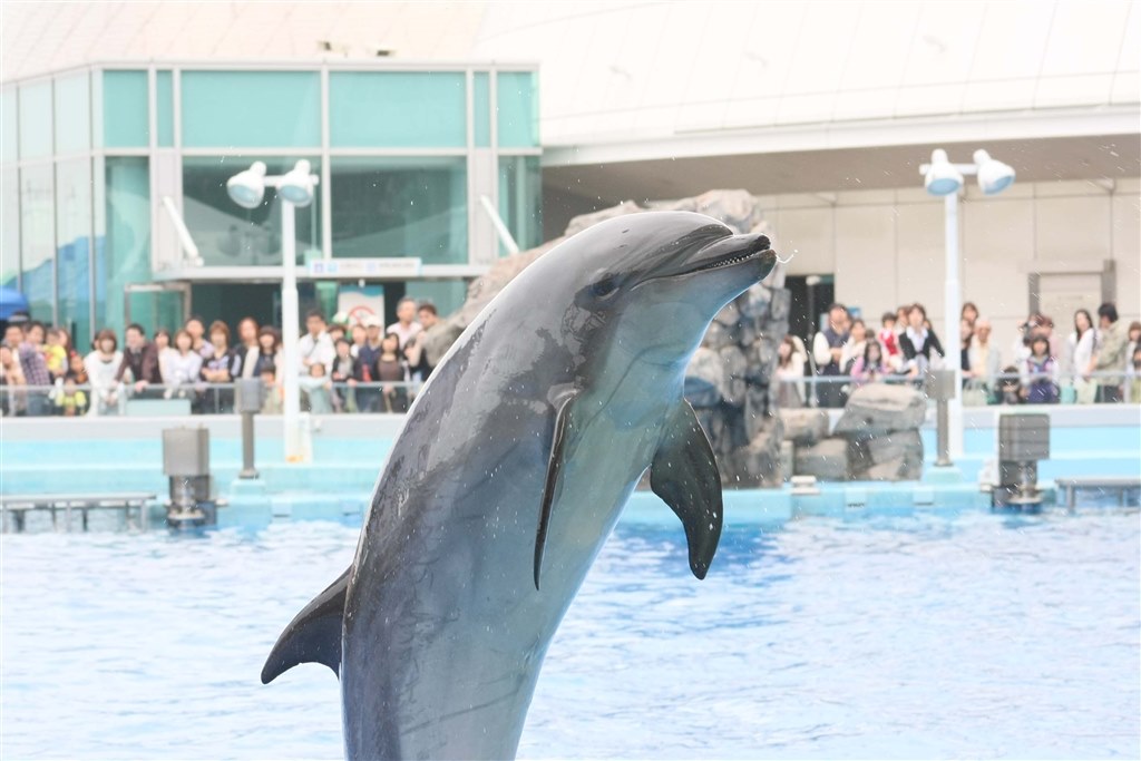 名古屋港水族館に行ってまいりました』 CANON EF100-300mm F4.5