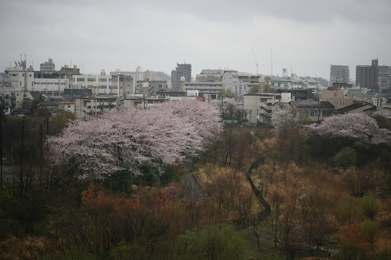 風景撮り』 CANON EF100mm F2.8 マクロ USM のクチコミ掲示板 - 価格.com