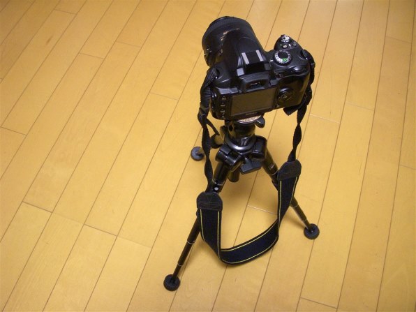 ニコン COOLPIX S50で撮影された写真 - 価格.com ニコン COOLPIX S50で撮影された写真 - 価格.com