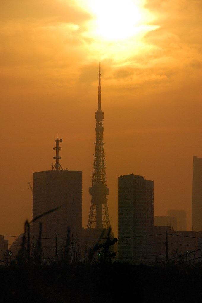 初心者ですが、夜景を撮って見ました』 ニコン D40 ボディ の 初心者ですが、夜景を撮って見ました』 ニコン D40 ボディ の