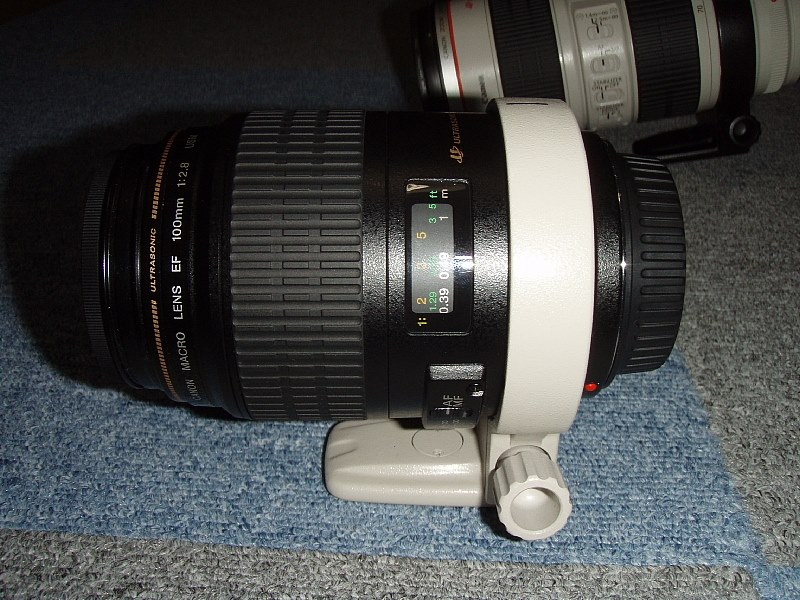 三脚座の流用について』 CANON EF100mm F2.8 マクロ USM のクチコミ