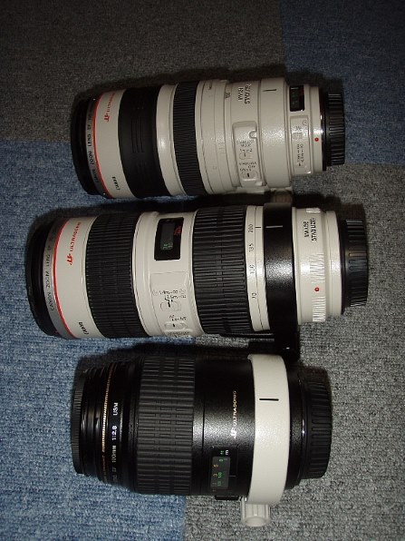 三脚座の流用について』 CANON EF100mm F2.8 マクロ USM のクチコミ