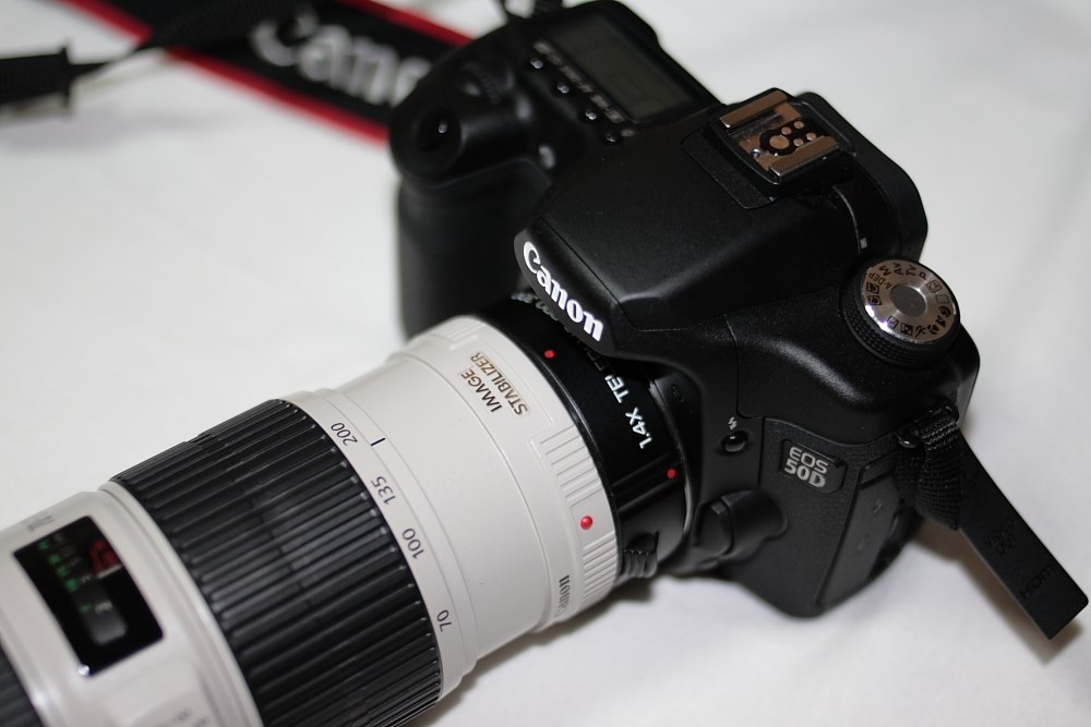 体育館で撮影したいのですが』 CANON EF70-200mm F4L IS USM の